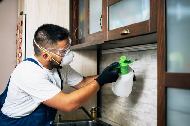 Best Pest Prevention Services  in Lecanto, FL