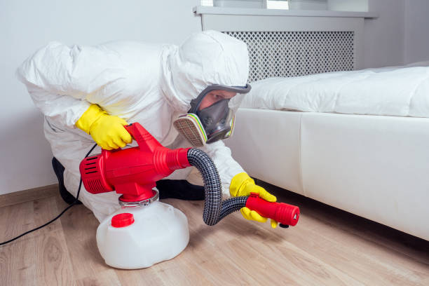 Best Residential Pest Control  in Lecanto, FL