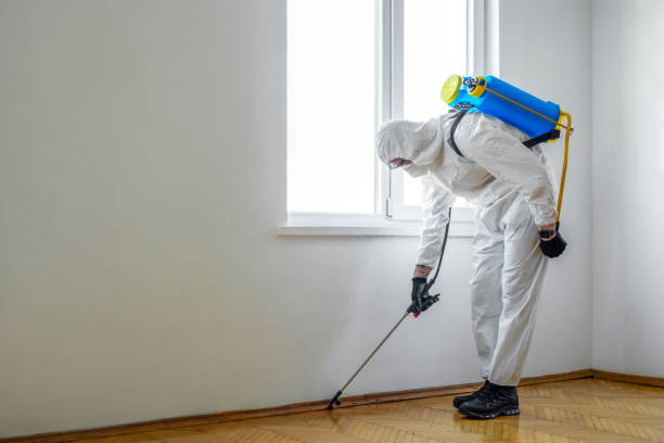 Best Exterminator Services  in Lecanto, FL