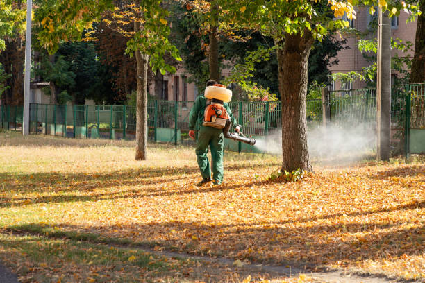 Best Pest Removal Services  in Lecanto, FL